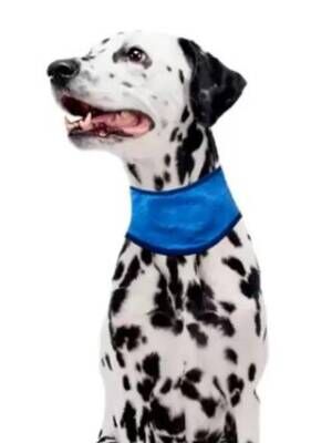 Pawise Soğutucu Köpek Bandanası M 38-46 Cm