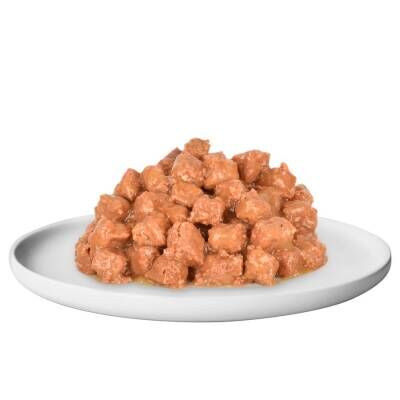 Quik Somon ve Karidesli Yetişkin Kedi Konserve Maması 415 gr