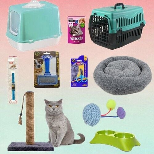 Bio Sand Kapalı Tuvaletli Kedi Ihtiyaç Seti 10'lu