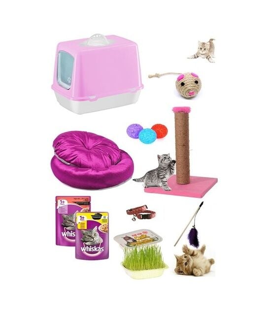 Bio Sand Kedi Başlangıç Seti 10 Parça