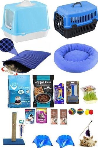 Bio Sand Kedi Başlangıç 20'li Paket