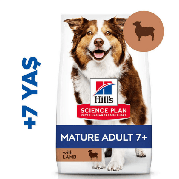Hills Medium Mature Kuzu Etli Yaşlı Köpek Maması 12+2Kg Bonus Paket