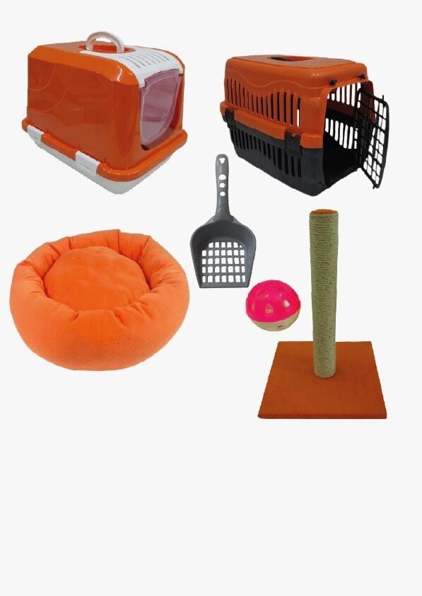 Bio Sand Petzen Kedi Başlangıç Seti 6'lı Turuncu