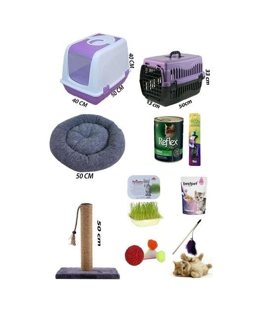 Bio Sand Kedi Başlangıç Seti 10 Parça -