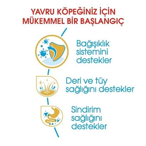 Royal Canin Cocker Junior Yavru Köpek Maması 3 Kg