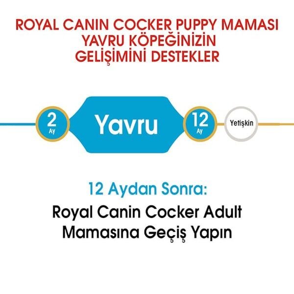 Royal Canin Cocker Junior Yavru Köpek Maması 3 Kg