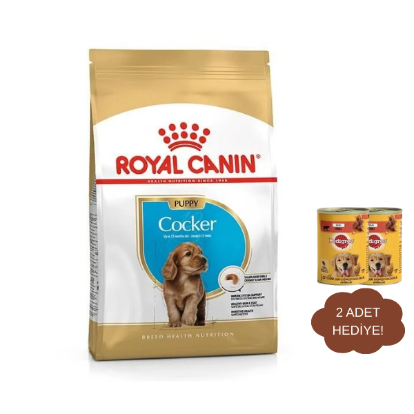 Royal Canin Cocker Junior Yavru Köpek Maması 3 Kg
