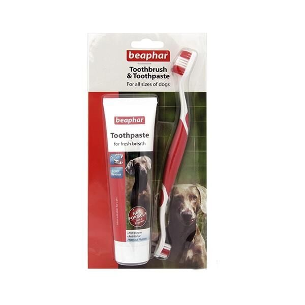 Beaphar Tooth Combipack Köpek için Fırça ve Macun Ağız Bakım Seti