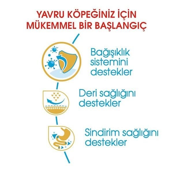 Royal Canin Pug Junior Yavru Köpek Maması 1,5 Kg