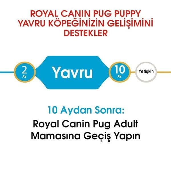 Royal Canin Pug Junior Yavru Köpek Maması 1,5 Kg