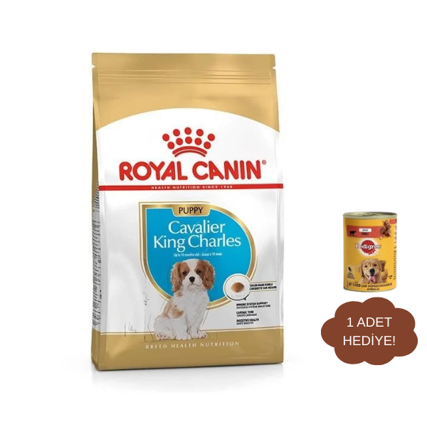 Royal Canin Puppy Cavalier King Charles Yavru Köpek Maması 1,5Kg
