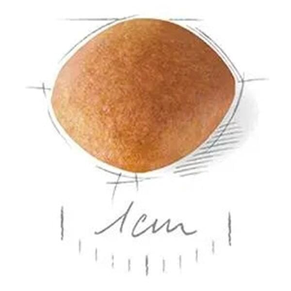 Royal Canin Puppy Cavalier King Charles Yavru Köpek Maması 1,5Kg