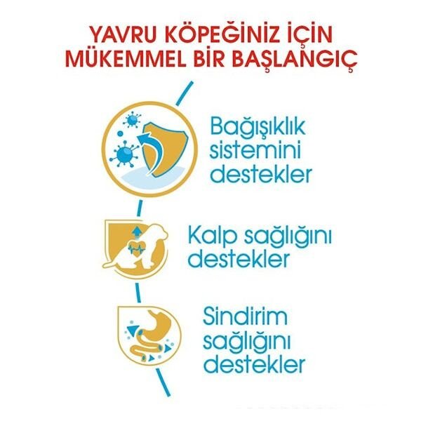 Royal Canin Puppy Cavalier King Charles Yavru Köpek Maması 1,5Kg