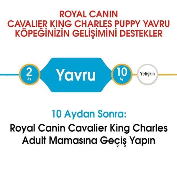 Royal Canin Puppy Cavalier King Charles Yavru Köpek Maması 1,5Kg