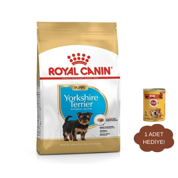 Royal Canin Puppy Yorkshire Terrier Yavru Köpek Maması 1,5Kg