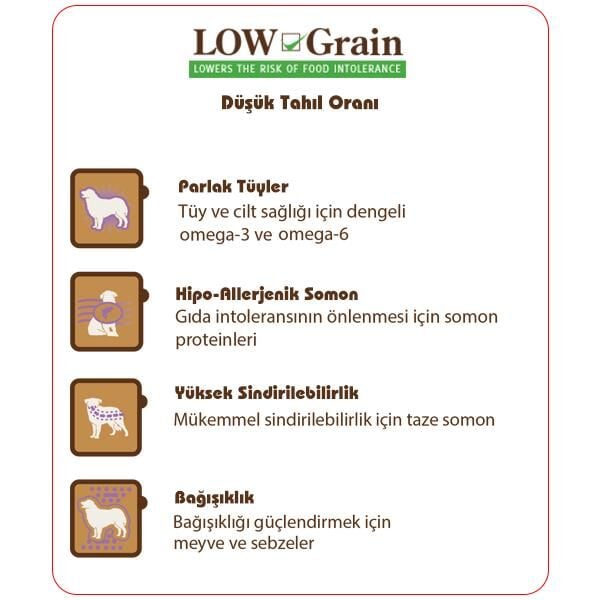 Sams Field Somonlu Düşük Tahıllı Yetişkin Köpek Maması 2,5 Kg