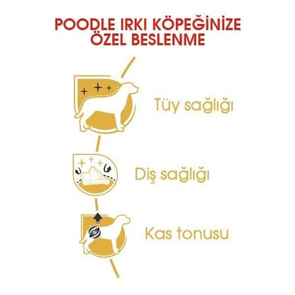 Royal Canin Poodle Yetişkin Köpek Maması 3 Kg