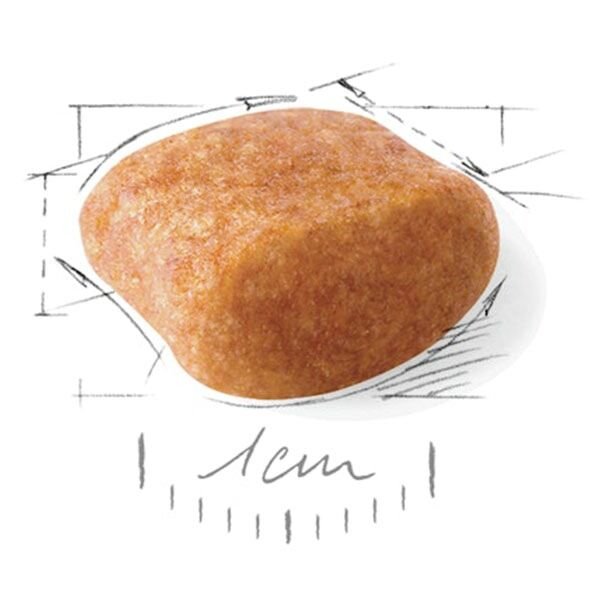 Royal Canin Poodle Yetişkin Köpek Maması 3 Kg