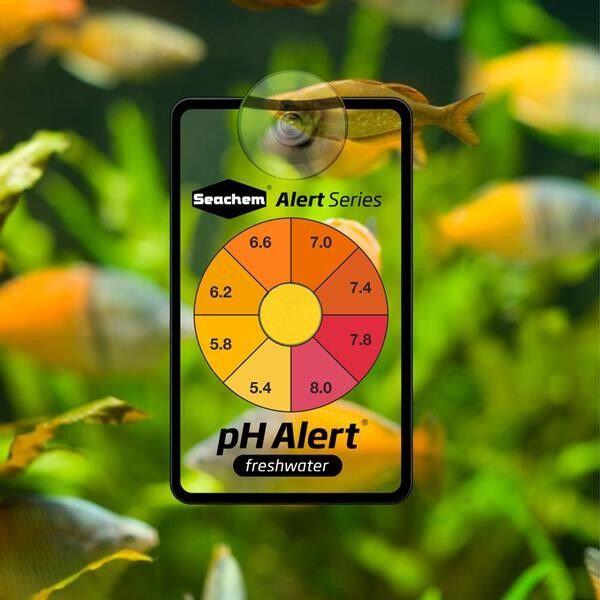 Seachem PH Alert