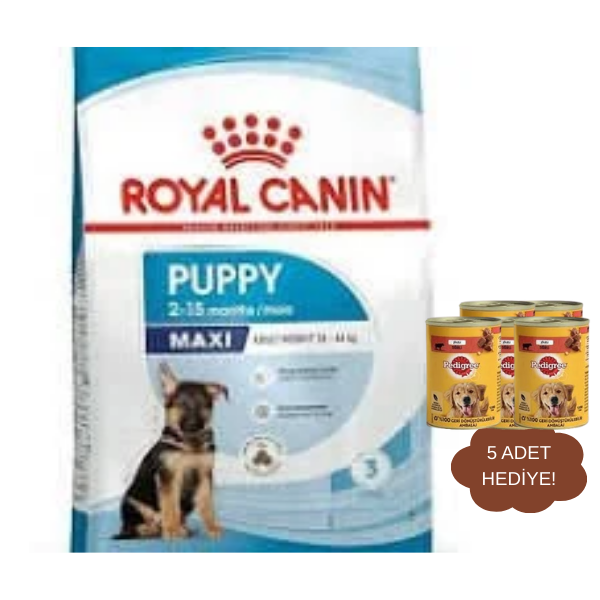 Royal Canin Maxi Puppy Büyük Irk Yavru Köpek Maması 15 Kg
