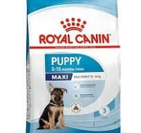 Royal Canin Maxi Puppy Büyük Irk Yavru Köpek Maması 15 Kg