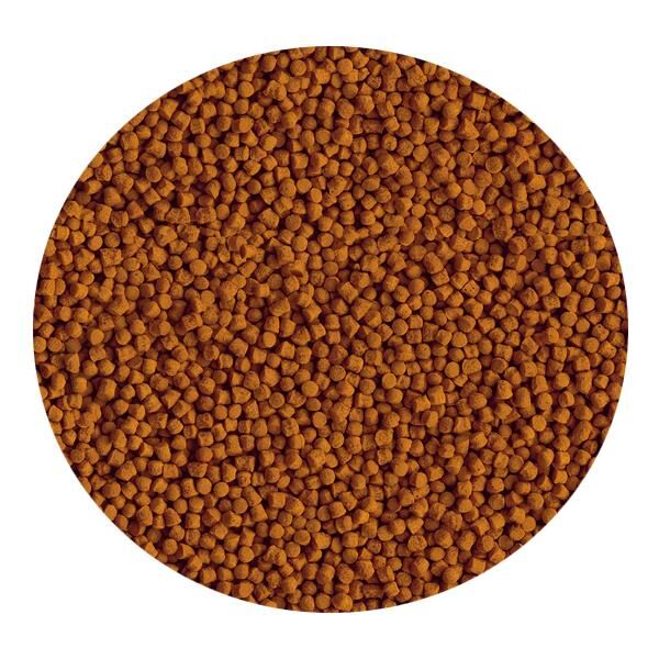 Tetra Goldfish Energy 250ml - Japon Balığı Yemi