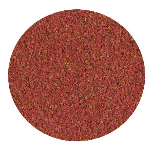 Tetra Guppy Lepistes Balık Yemi 100ml