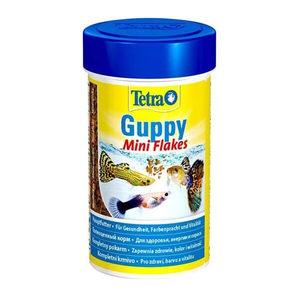 Tetra Guppy Lepistes Balık Yemi 100ml
