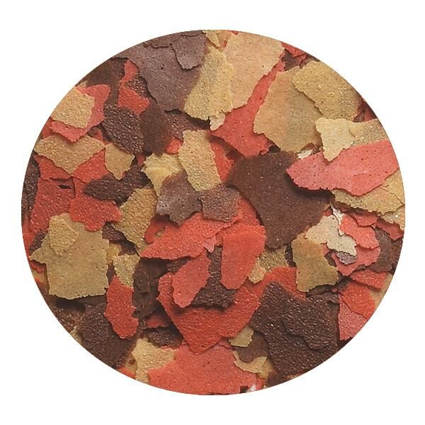 Tetra Goldfish 250ml - Japon Balığı Yemi