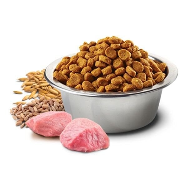 ND Düşük Tahıllı Kuzu Etli ve Yaban Mersinli Kısırlaştırılmış Yetişkin Kedi Maması 10 Kg