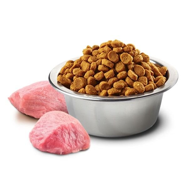 ND Tahılsız Bal Kabaklı Kuzu Etli ve Yaban Mersinli Kısırlaştırılmış Yetişkin Kedi Maması 1,5 Kg