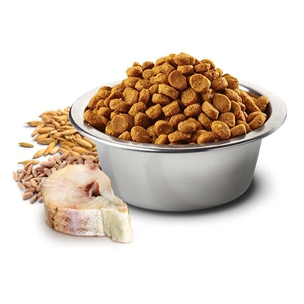 ND Ocean Düşük Tahıllı Morina Balığı ve Portakallı Yetişkin Kedi Maması 1,5 Kg