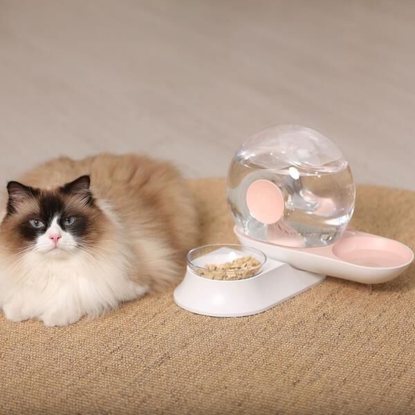 Basınçlı Kedi Köpek Mama ve Su Kabı GA-WF-002