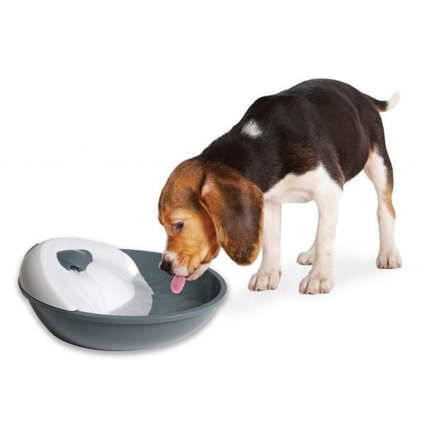 Pioneer Pet Kedi / Köpek Suluğu 1,7 lt