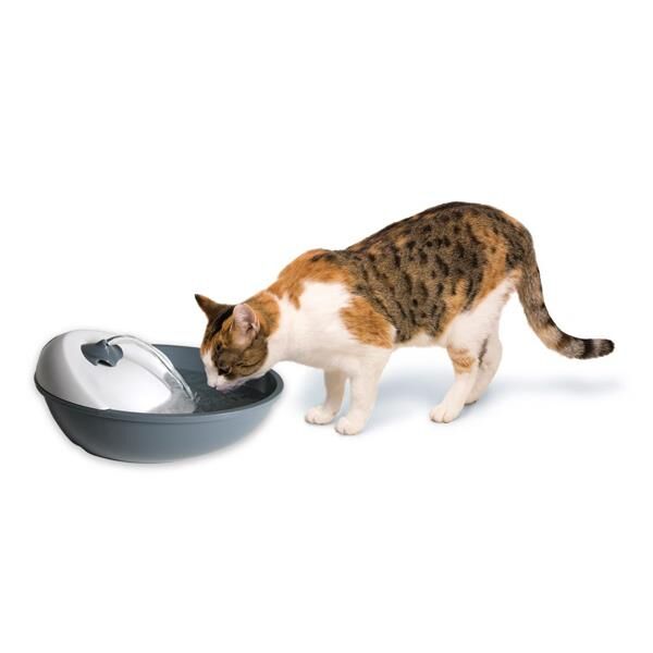 Pioneer Pet Kedi / Köpek Suluğu 1,7 lt