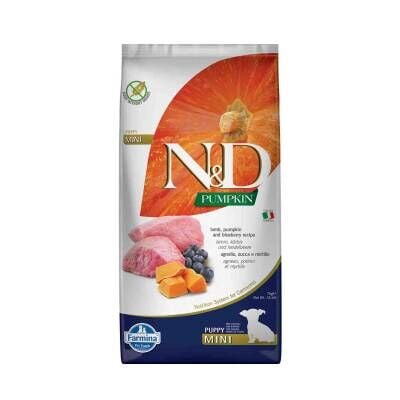 N&D Pumpkin Tahılsız Bal Kabaklı Kuzu Etli Yaban Mersinli Küçük Irk Yavru Köpek Maması 7 kg