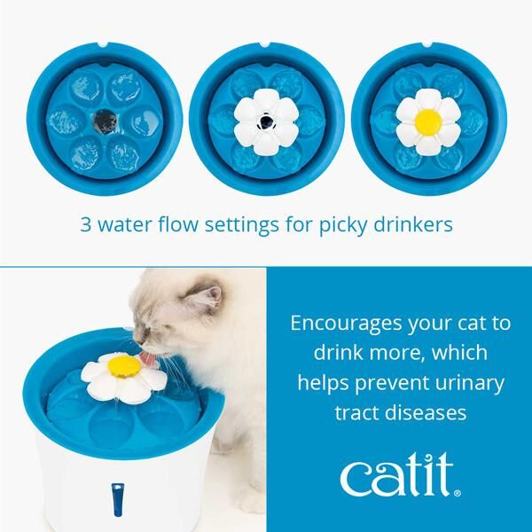 Catit 2.0 Flower Fountain 3 Lt Led Işıklı Otomatik Su Kabı Mavi