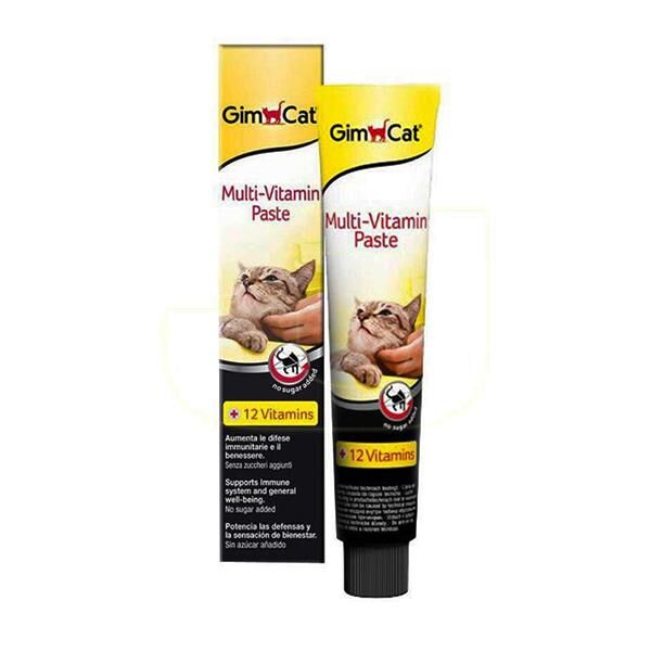 Gimcat MultiVitamin Paste 100gr