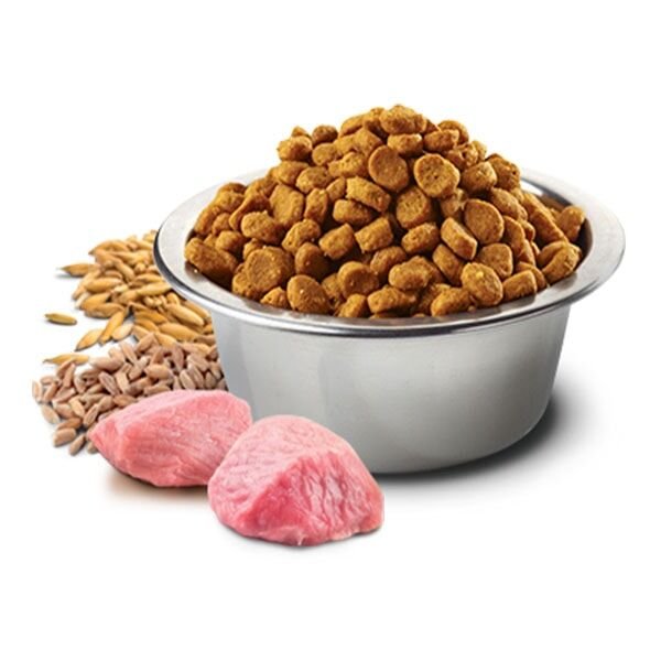 ND Ancestral Grain Kuzu Etli ve Yaban Mersinli Düşük Tahıllı Yetişkin Kedi Maması 10Kg