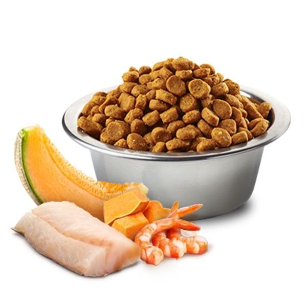 ND Ocean Morina Balığı Bal Kabağı Karides ve Kavunlu Tahılsız Yavru Kedi Maması Paketten Bölme 1Kg