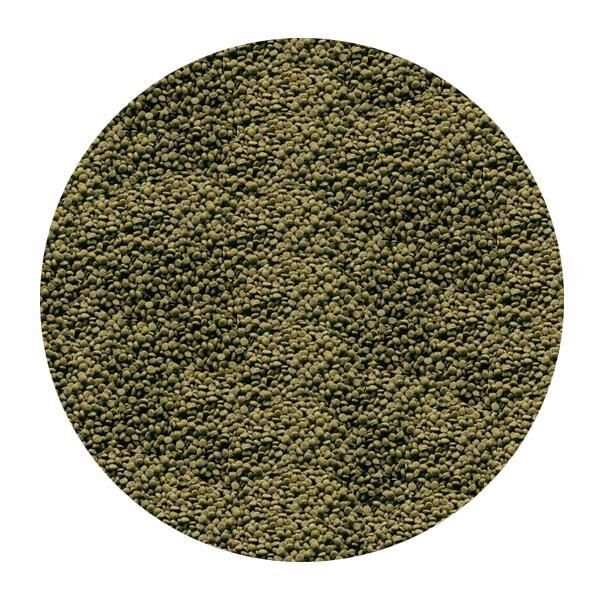 Sera Granugreen 100 Ml 55 Gr