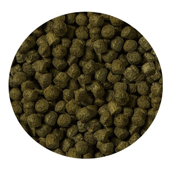 Sera Cichlid Green XL Otçul Cichlid Yemi 1000 Ml 370 Gr