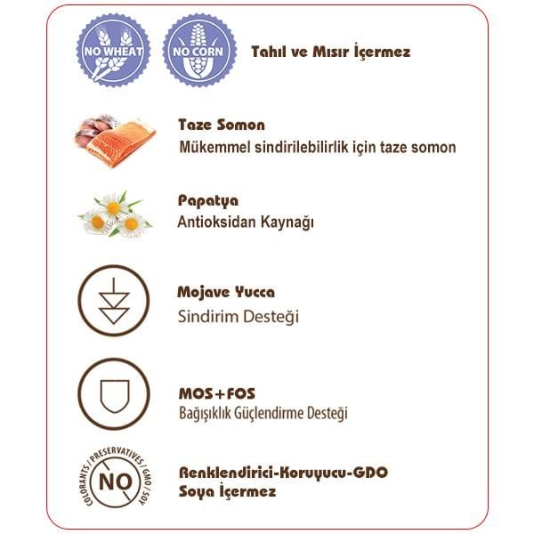 Sams Field Adult Balıklı Tahılsız Yetişkin Kedi Maması 2,5 Kg