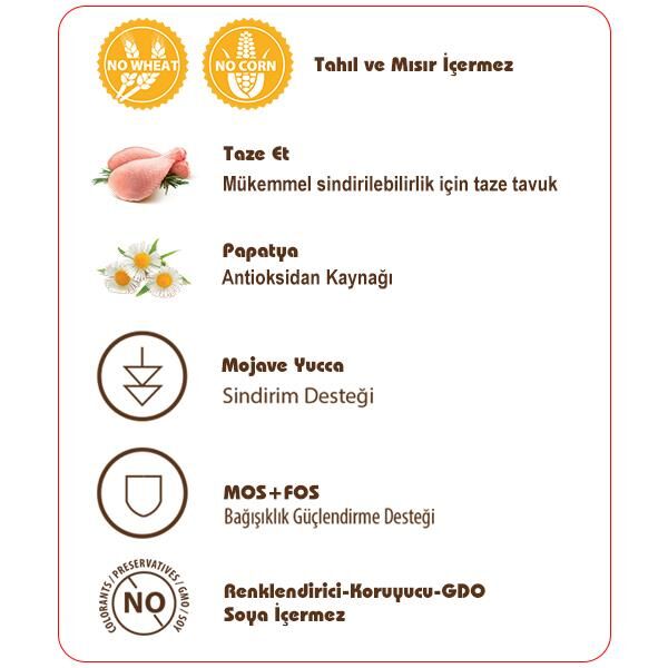 Sams Field Adult Tavuklu Tahılsız Yetişkin Kedi Maması 2,5 Kg