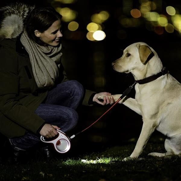 Flexi Led Işık Tasma Aydınlatması Gri