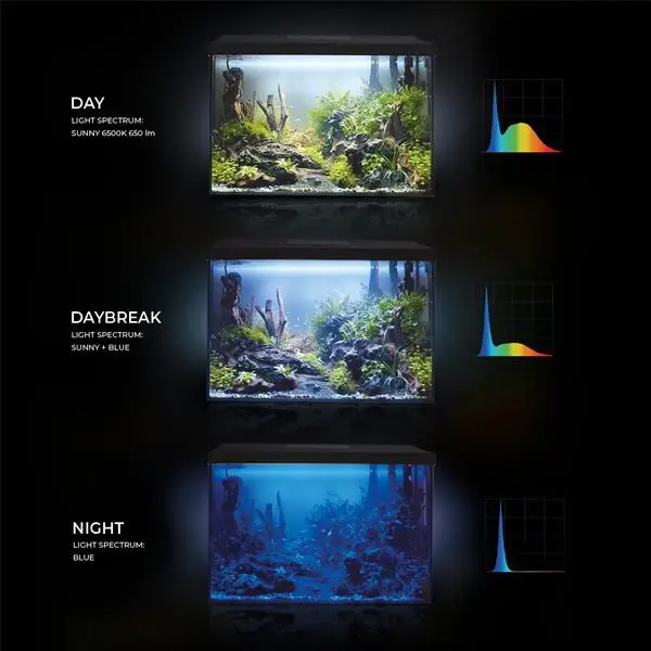 Aquael Aquarium Set Day and Night Leddy 40XL Akvaryum Siyah