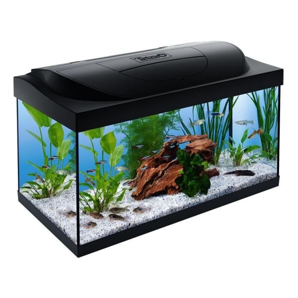 Tetra Starter Line Led Akvaryum 54 Litre