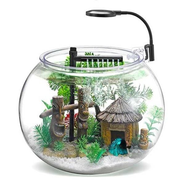 Nubios Masaüstü Beta Seti 12L Acrylic Faunus