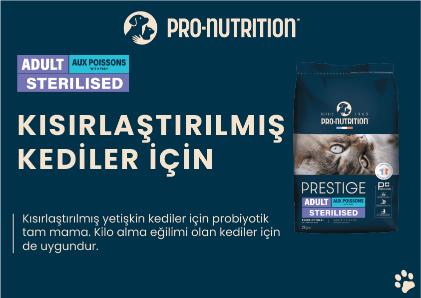Pro Nutrition Prestige Adult Sterilised Yetişkin Kısırlaştırılmış Somonlu ve Morina Balıklı Kedi Maması 2Kg
