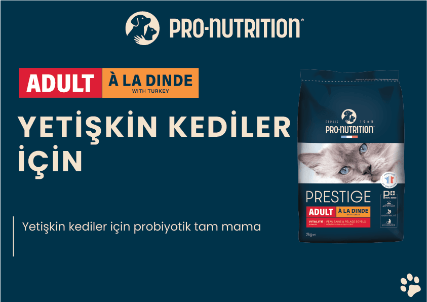 Pro Nutrition Prestige Adult Yetişkin Hindili Kedi Maması 10Kg